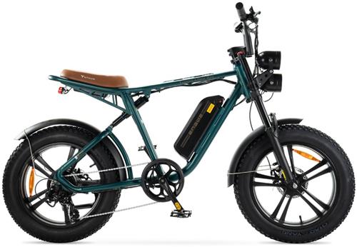 ENGWE M20 (13Ah) Elektrische Fatbike - Enkele Accu - 20 Inch - 250W Motor - 7 Versnellingen - 75 km Actieradius - Mechanische Schijfremmen - Groen