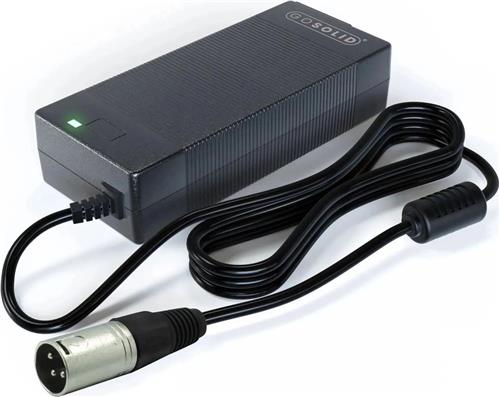 GO SOLID! ® Oplader geschikt voor ES Master Rock Wheel Pro R en L