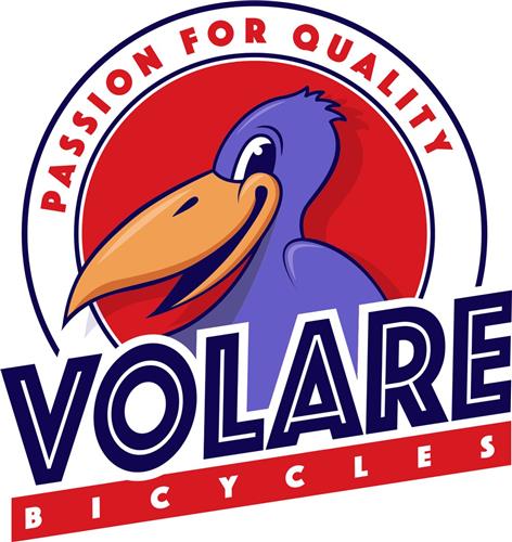 Volare Cross Kinderfiets - Jongens - 24 inch - donker Grijs