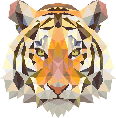 HOOODIE Cushie Tiger