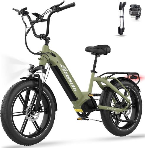 ECORUSH Elektrische Fiets ECO R6 - 20*4.0 Inch Fat Tire City Commuter EBike met Afneembare 48V 15.6Ah Lithium Batterij - Mountain E-Bike met 250W Motor - 7 Versnellingen - IP54 Waterdicht