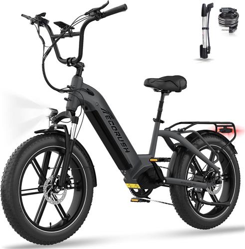 ECORUSH Elektrische Fiets ECO R6 - 20*4.0 Inch Fat Tire City Commuter EBike met Afneembare 48V 15.6Ah Lithium Batterij - Mountain E-Bike met 250W Motor - 7 Versnellingen - IP54 Waterdicht