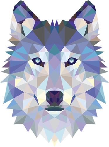 HOOODIE Big Cushie Wolf